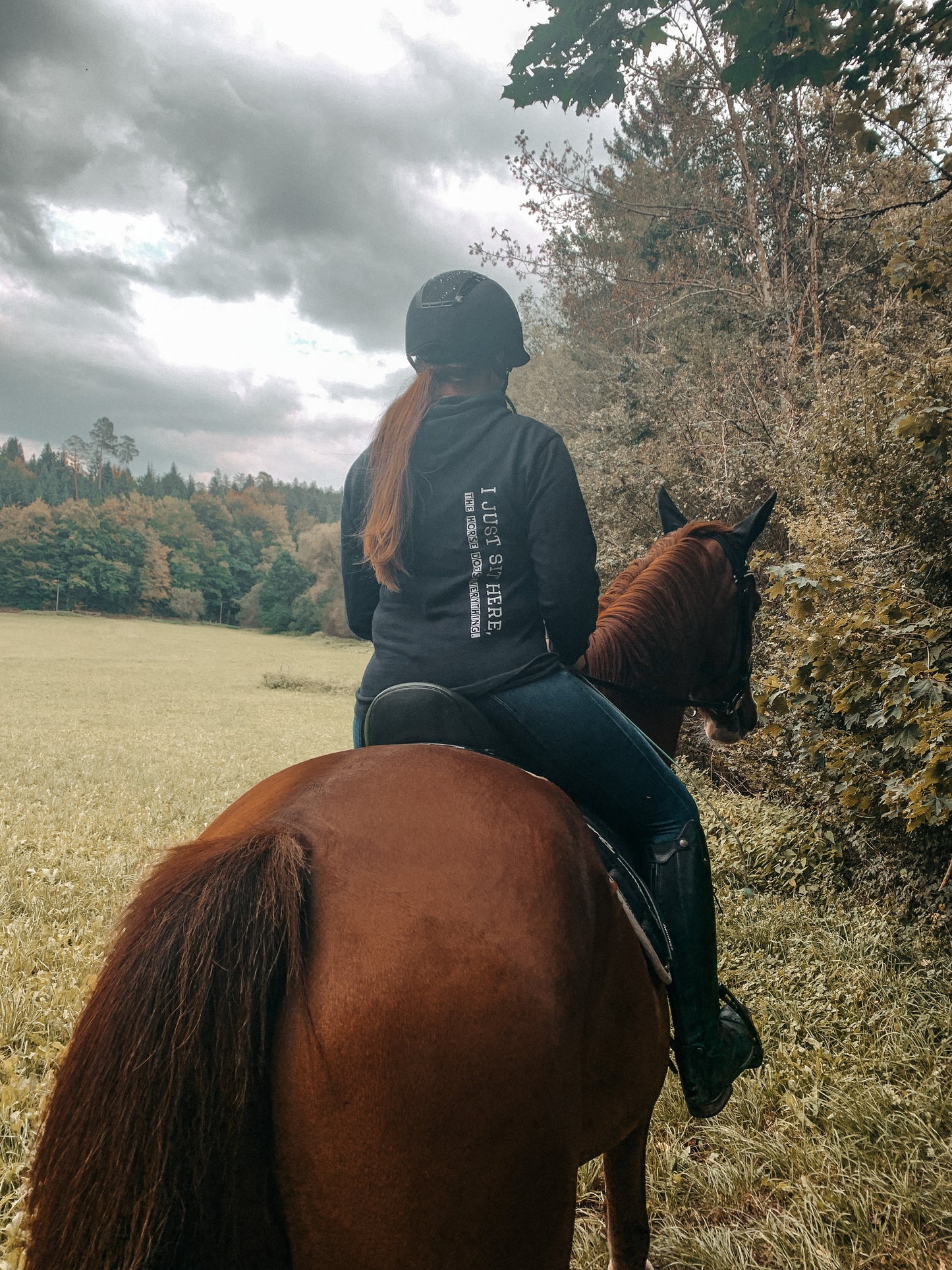 Reitpullover "I just sit here, the horse does everything"